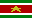 Flag of Suriname